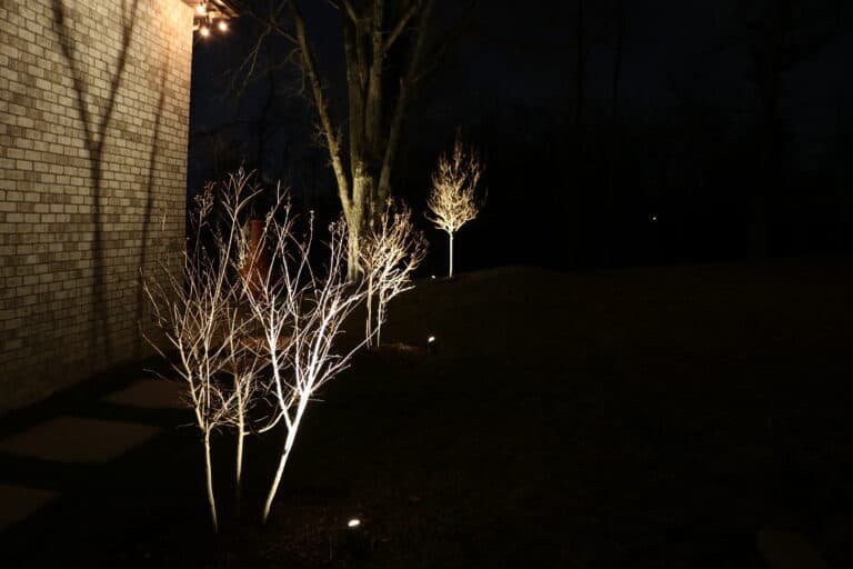 trees beside house outdoor lighting nolensville