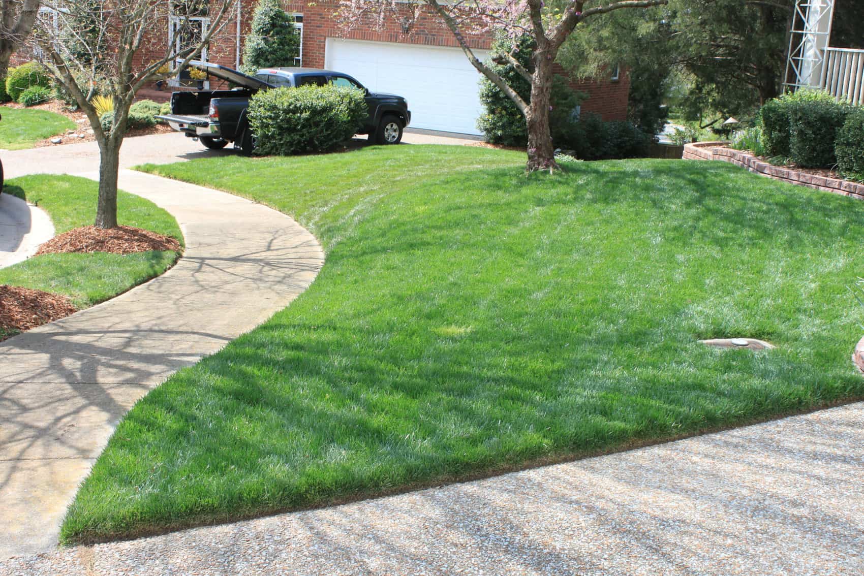 Quigley's Fescue Sod Services